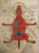 Anatomy of a horse from an Egyptian document (15th century)