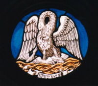 A pelican vulning (i.e., wounding) itself