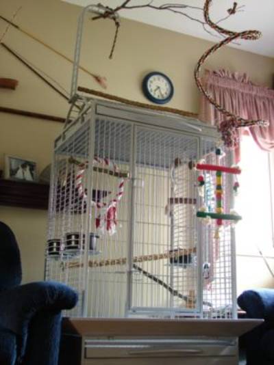 A cage designed for medium-large parrots, with a playtop.