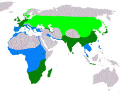 Light green: summerDark green: all yearBlue: winter