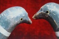 Love Dove decoys