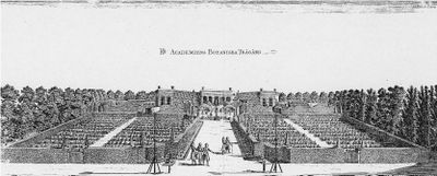 Le jardin botanique d'Uppsala (Hortus Upsaliensis)  l'poque de Linn