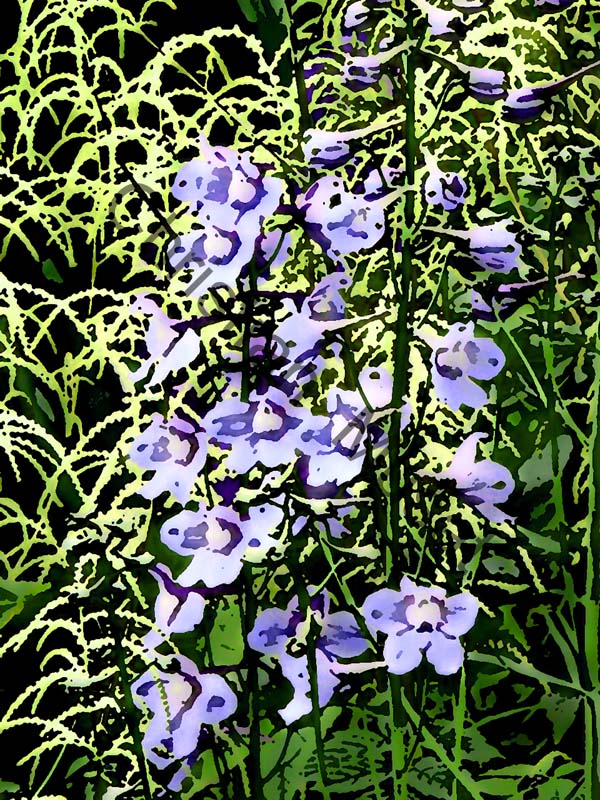 fleur effet 004