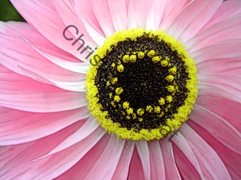 fleur effet 006