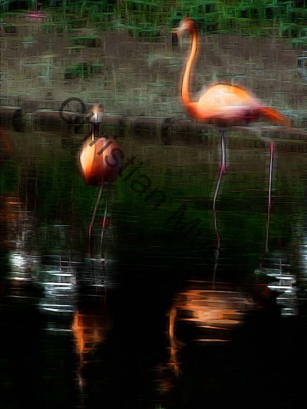 impression 141