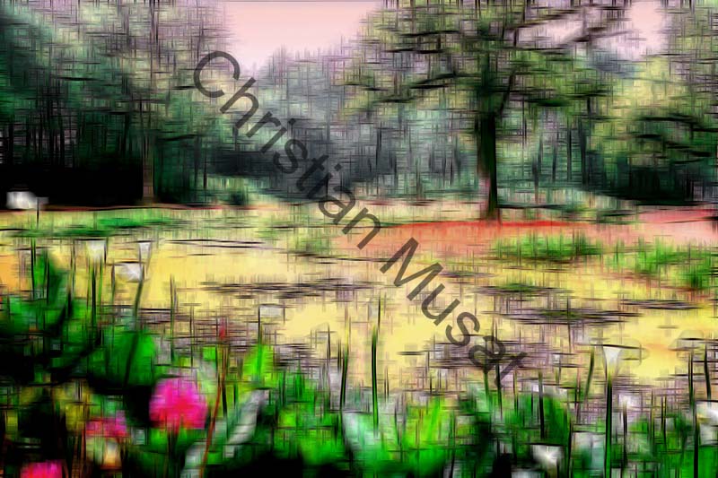 impression 205