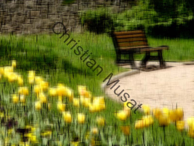 impression 211