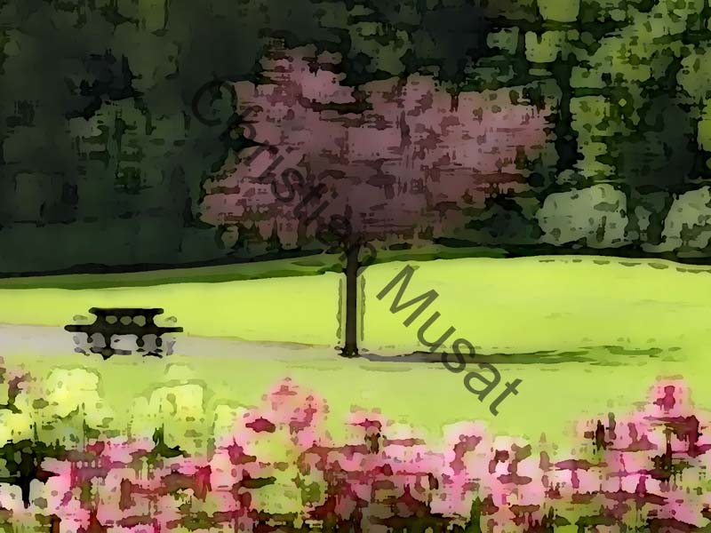 impression 218