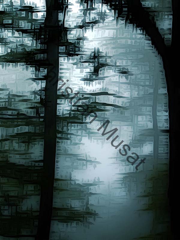 impression 237