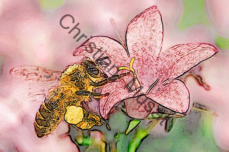 abeille effet 02