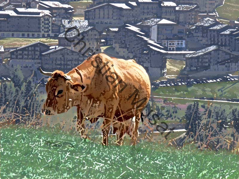 vache effet 04