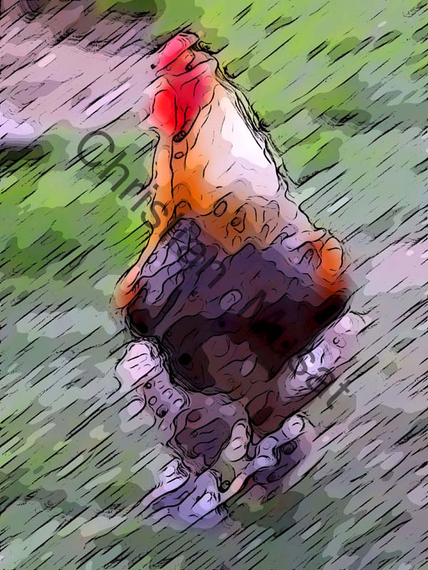 coq effet 001