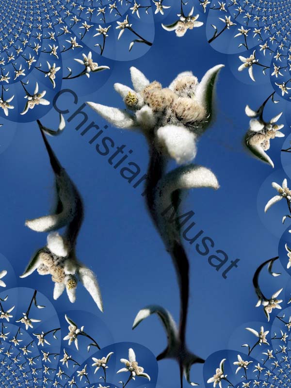 réplique fleur 002