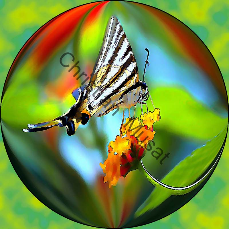 sphère papillon 008
