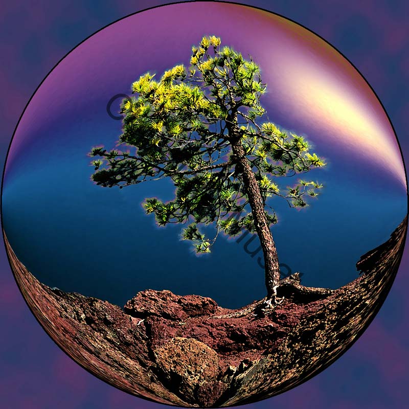 sphère arbre 001