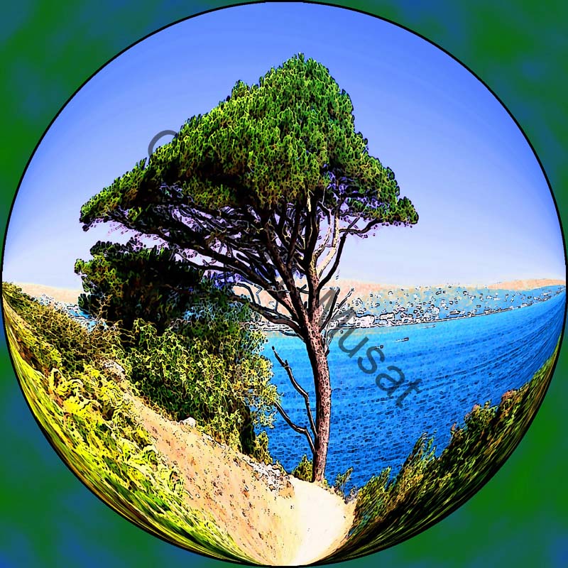 sphère arbre 002
