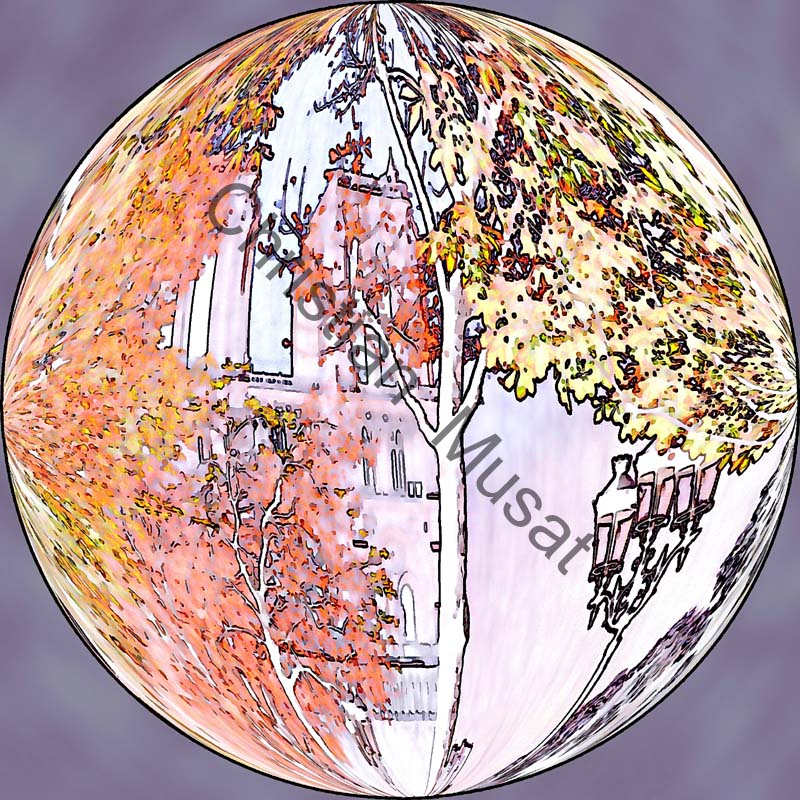 sphère arbre 003