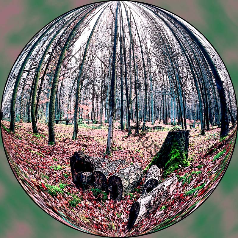 sphère arbre 005