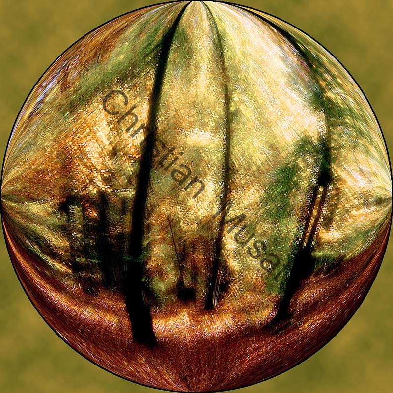 sphère arbre 006