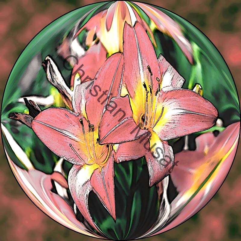 sphère fleur 002