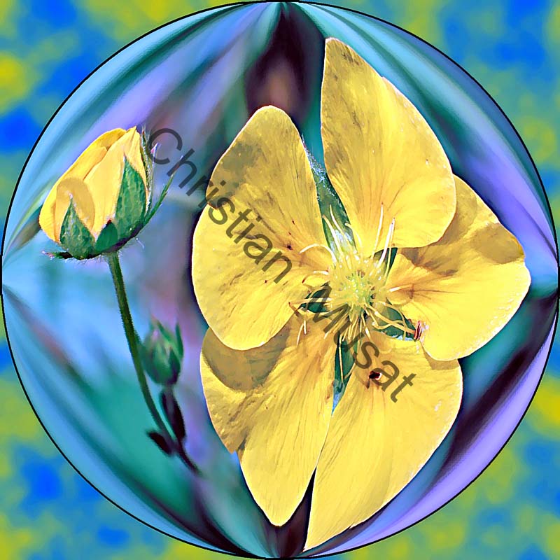sphère fleur 007