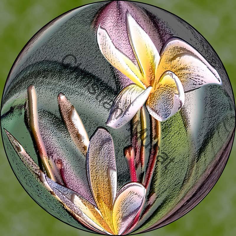 sphère fleur 009