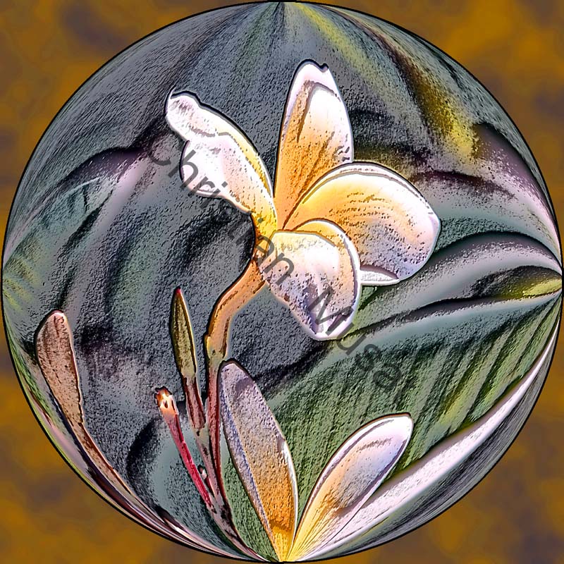 sphère fleur 010