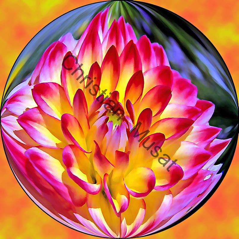 sphère fleur 012
