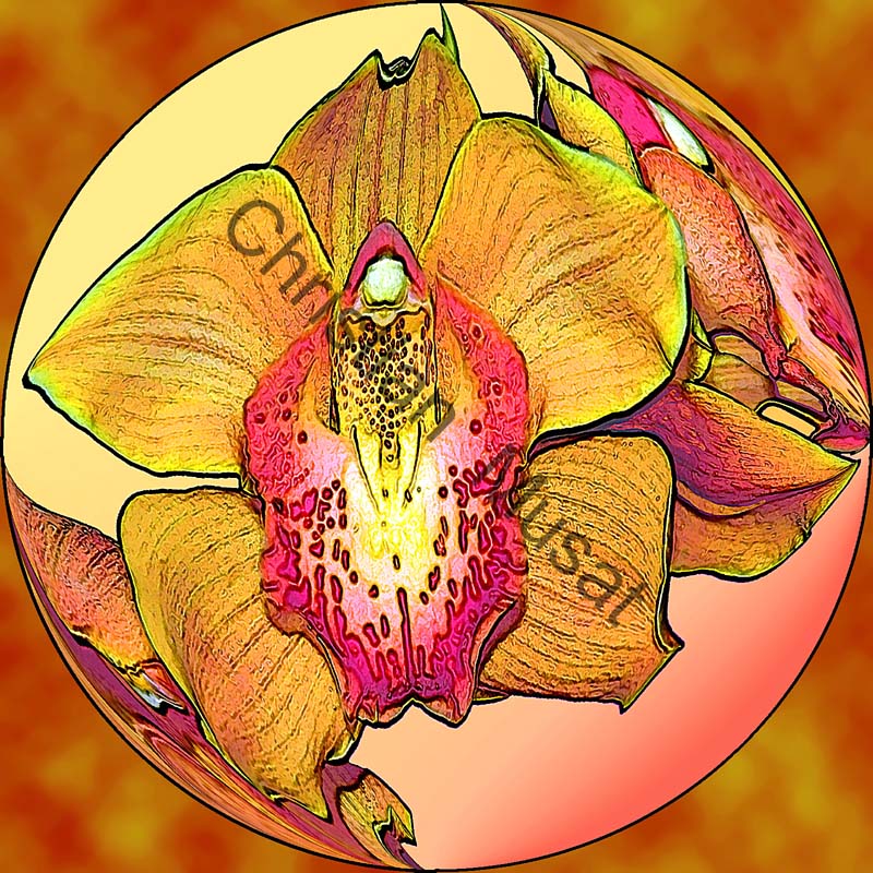 sphère orchidée 001