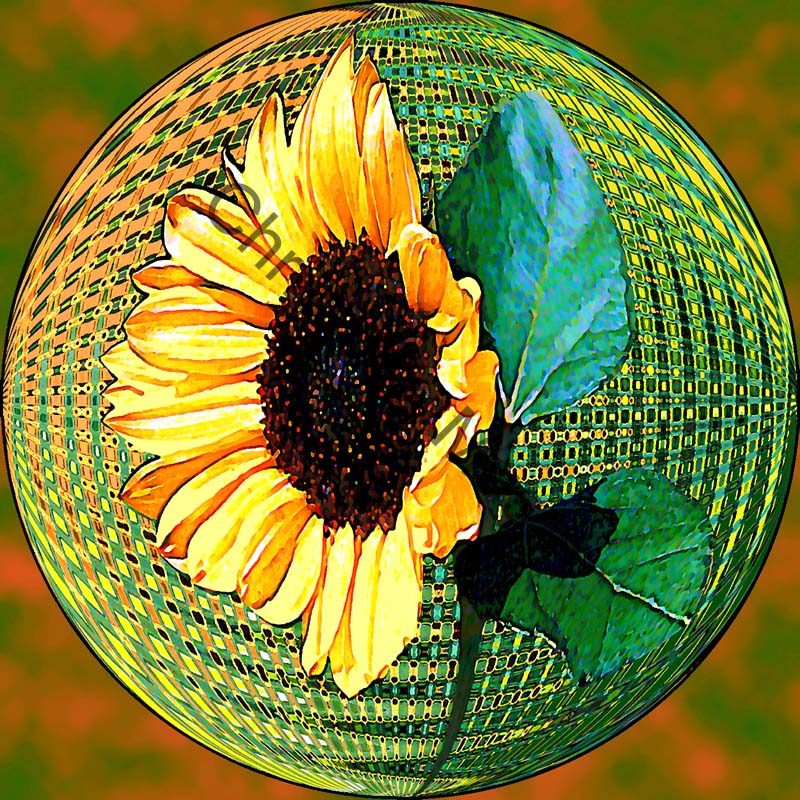 sphère tournesol 002