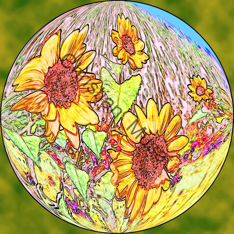 sphère tournesol 004