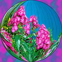 sphère fleur 006
