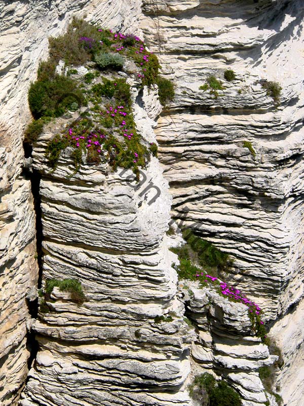 Corse falaise 002