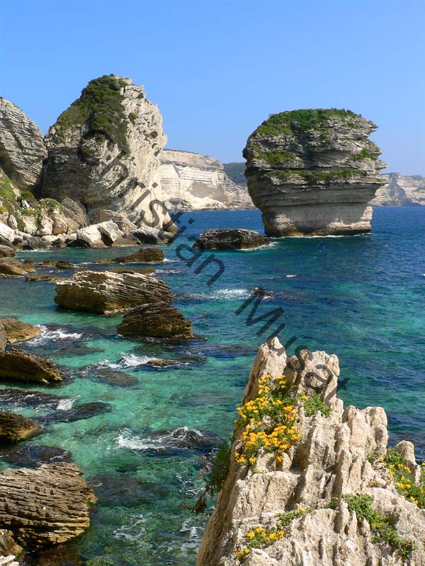 Corse falaise 006