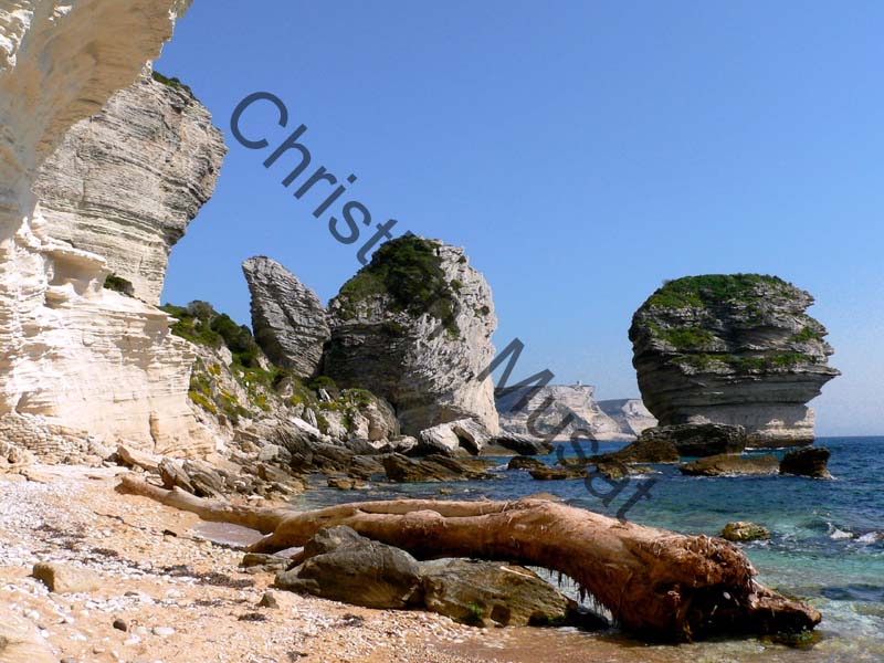 Corse falaise 009