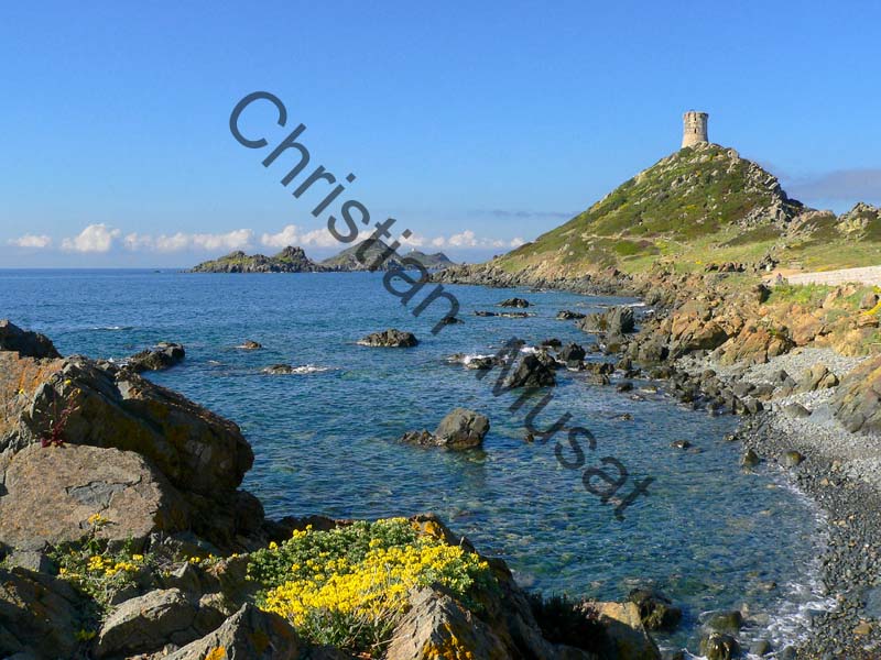 Corse mer 003