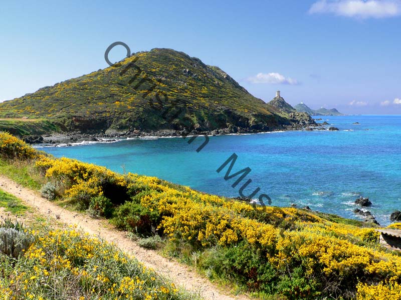 Corse mer 005