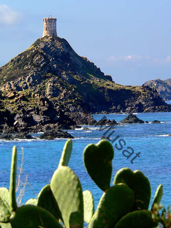 Corse mer 006