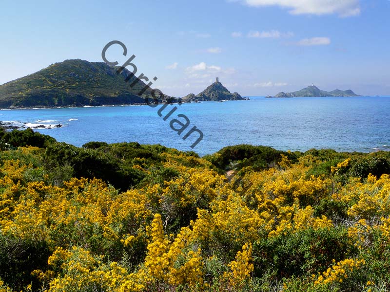 Corse mer 007