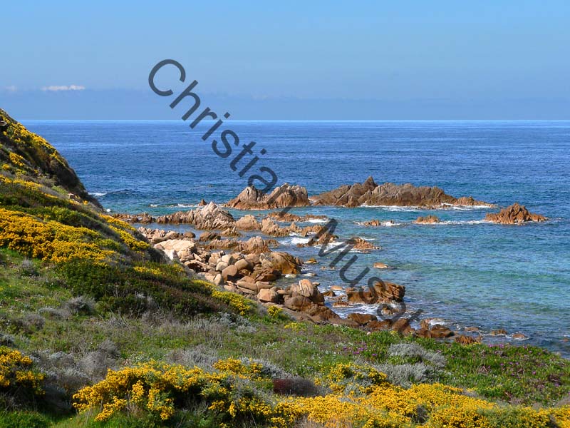 Corse mer 008