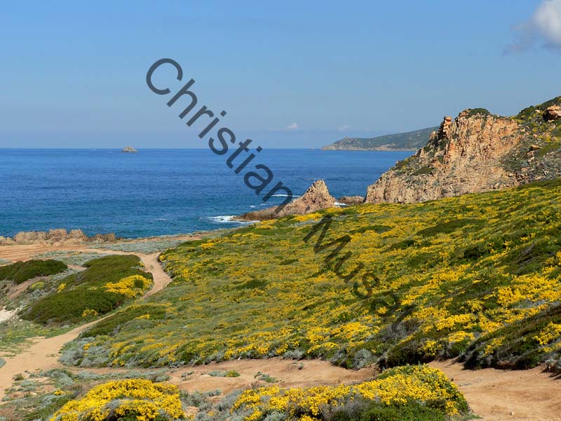 Corse mer 013