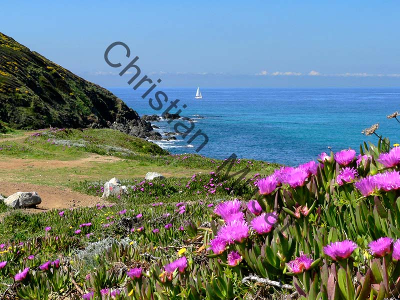 Corse mer 016