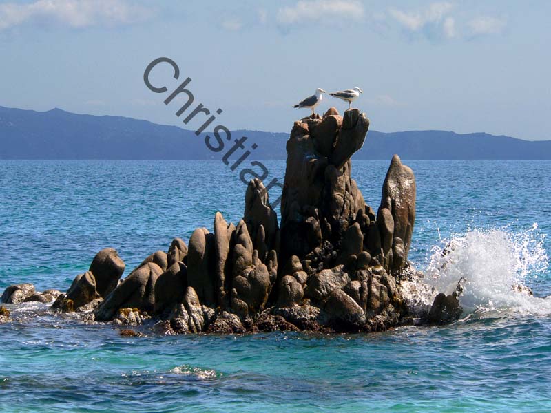 Corse mer 022