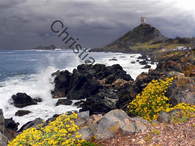 Corse mer 029