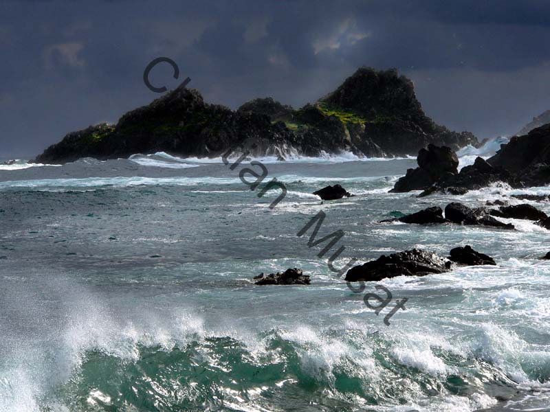 Corse mer 033