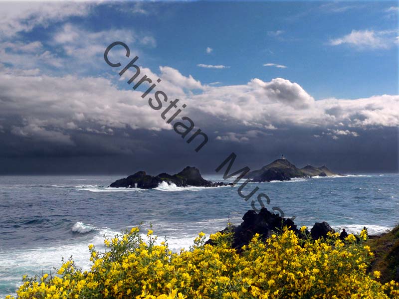 Corse mer 034