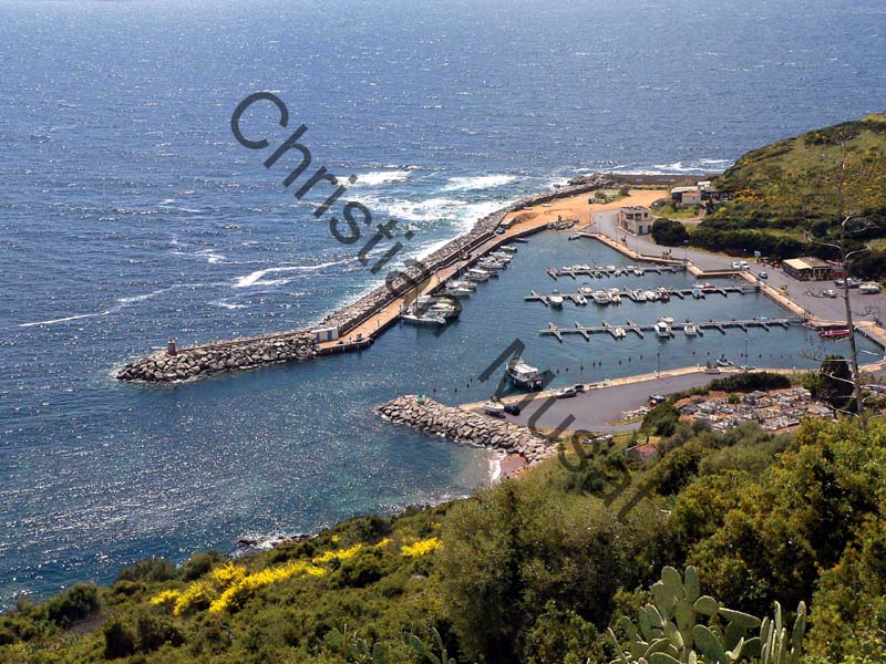 Corse port 007