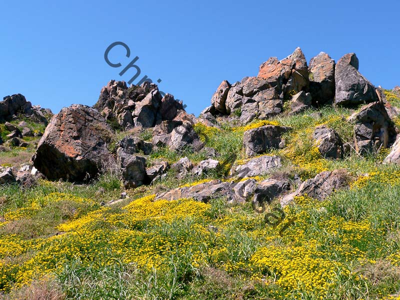 Corse rocher 001