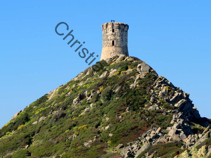 Corse tour 001