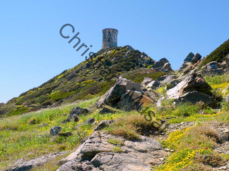 Corse tour 002